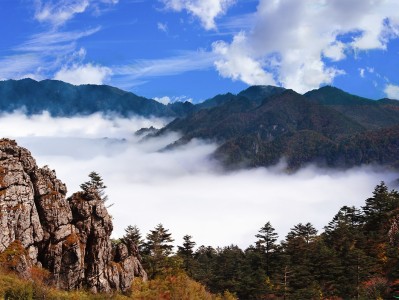 海口神农架：秘境之旅，云海奇观，草原牧歌，探寻世外桃源